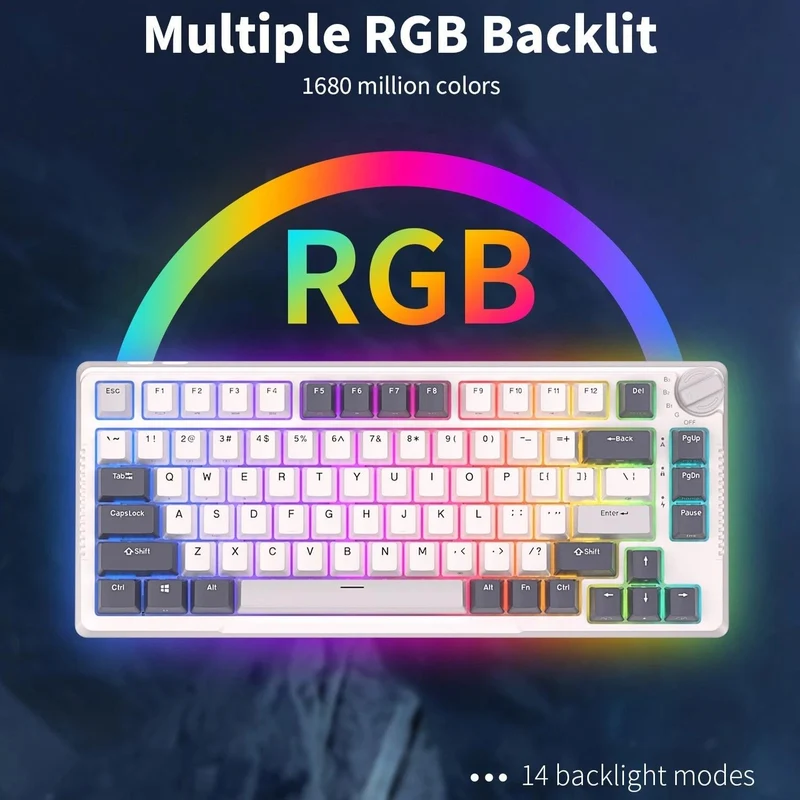 Royal Kludge RK-H81 Tri-Mode RGB 81 Keys Hot Swappable Mechanical Keyboard White Night (Brown Switch)